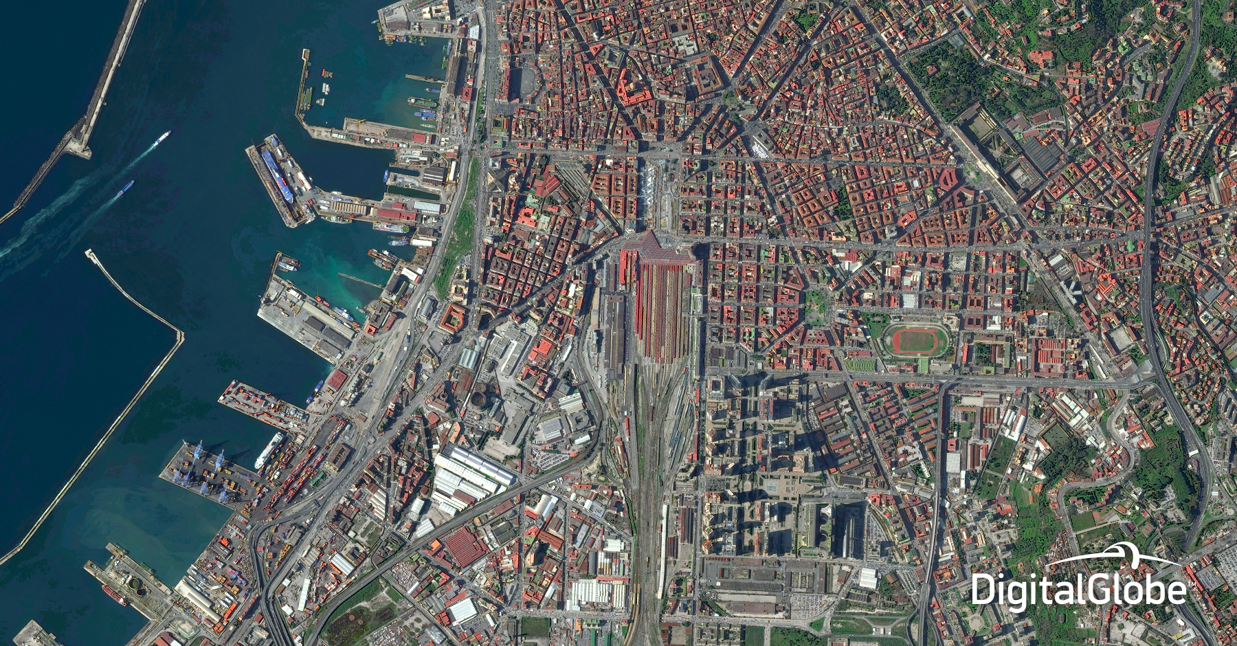 Imagery and Software Sales